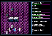 Nox Archaist: Lord of Storms 3