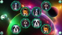 Space Memory: Dogs 4