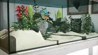 Aquarium Designer 4