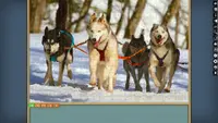 Jigsaw Puzzle Pack - Pixel Puzzles Ultimate: Snow & Ice Ultimate 4