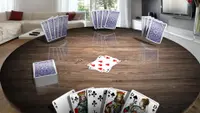Crazy Eights 3D Premium Premium 2