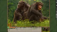 Jigsaw Puzzle Pack - Pixel Puzzles Ultimate: Primates Ultimate 1