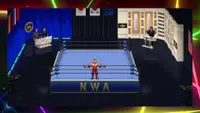 RetroMania Wrestling 2