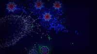 Microcosmum: survival of cells 2