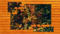 Aerial Nature Jigsaw Puzzles - Expansion Pack 3 2