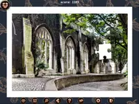 1001 Black Raven Jigsaw 3