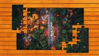 Aerial Nature Jigsaw Puzzles - Expansion Pack 1 1