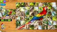 Photo Puzzles HD 1