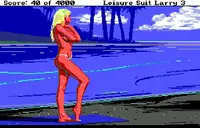 Leisure Suit Larry 3