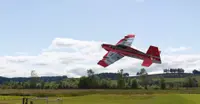 RealFlight Evolution - E-flite Eratix 3D Flat Foamy 860mm 3