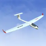 RealFlight Evolution - Tower Hobbies ASW-28 1