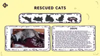 Purrfect Rescue 4
