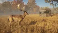 theHunter: Call of the Wild™ - Tents & Ground Blinds 1