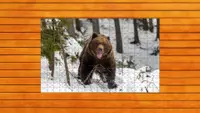 Bear vs. Wolf Jigsaw Puzzle - Expansion Pack 2 1