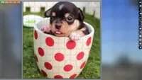 Jigsaw Puzzle Pack - Pixel Puzzles Ultimate: Dogs Ultimate 3