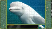 Jigsaw Puzzle Pack - Pixel Puzzles Ultimate: Dolphins Ultimate 4
