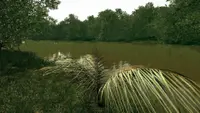 Ultimate Fishing Simulator - Amazon River DLC Ultimate 3
