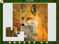 1001 Jigsaw. Wild Animals 4