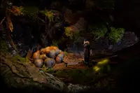 The Dream Machine: Chapter 5 3