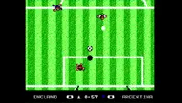MicroProse™ Soccer 3