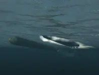 PT Boats: Knights of the Sea 3