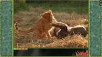 Jigsaw Puzzle Pack - Pixel Puzzles Ultimate: Cats Ultimate 3