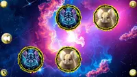 Space Memory: Chinchillas 1