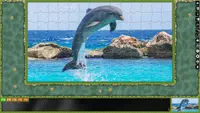 Jigsaw Puzzle Pack - Pixel Puzzles Ultimate: Dolphins Ultimate 2