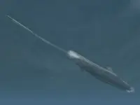 Silent Hunter® III 4