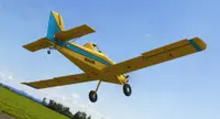 RealFlight Evolution - E-flite Air Tractor 1.5m 2