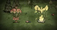 Don't Starve Together: Beating Heart Chest 3