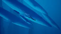 ABZÛ 4