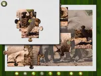 1001 Jigsaw. Wild Animals 2