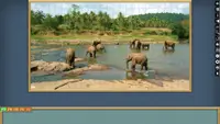 Jigsaw Puzzle Pack - Pixel Puzzles Ultimate: Elephants Ultimate 1