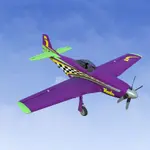 RealFlight Evolution - E-flite UMX P-51D Voodoo 2